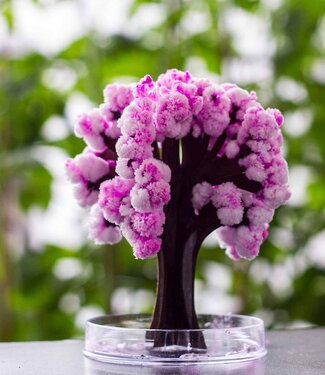 Mad Monkey Mad Monkey - Magische Sakura fascinerende boom om te knutselen