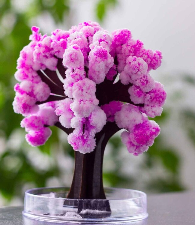 Mad Monkey - Magische Sakura fascinerende boom om te knutselen