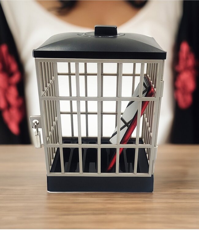 Mad Monkey - Mobiele telefoongevangenis met timer en sleutel - De ultieme oplossing voor mobiele telefoonverslaafden