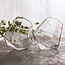 Mad Monkey - Diamanten bril set van 2