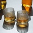 Whiskyglazen - Tippling Tumblers (set van 2)