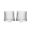 Whiskyglazen - Tippling Tumblers (set van 2)