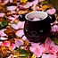 Beker "Panda Mug" - met kleurverandering