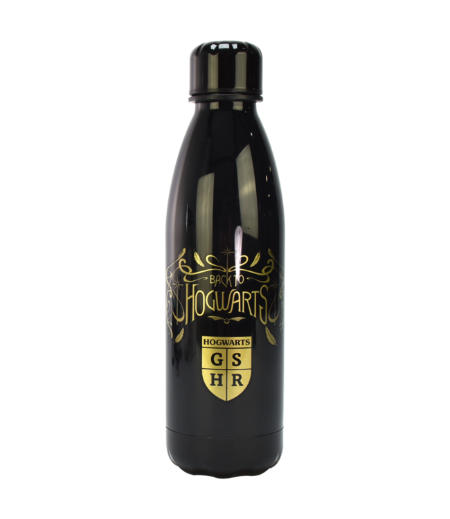 Harry Potter waterfles, 650 ml, thermische fles gemaakt van titanium