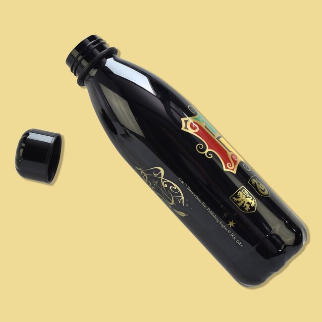 Harry Potter waterfles, 650 ml, thermische fles gemaakt van titanium