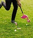 Golfset "Flamingolf".