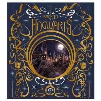 Mad Monkey Harry Potter - Lichtlantaarn