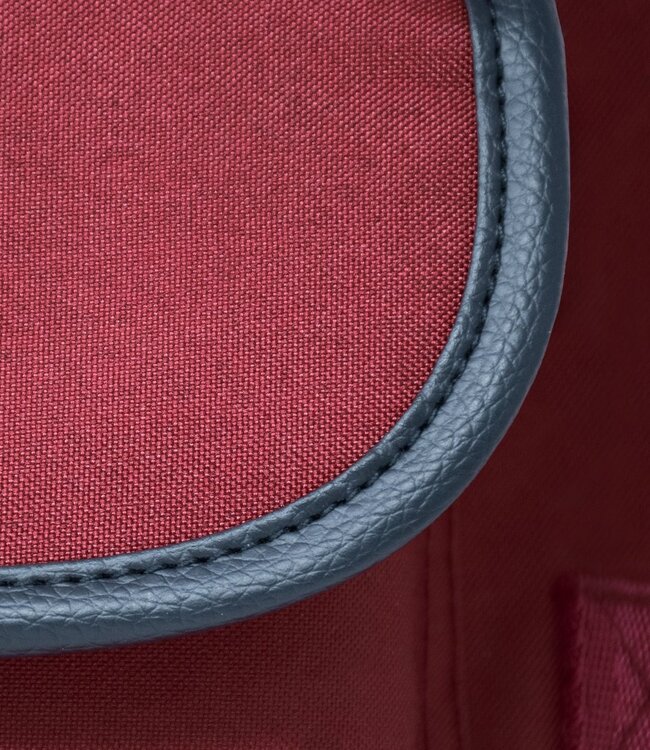 Harry Potter rugzak 9 ¾, ideaal als schoolrugzak