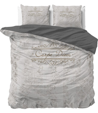 Sleeptime Carpe Diem 2 Zand 200 x 200/220