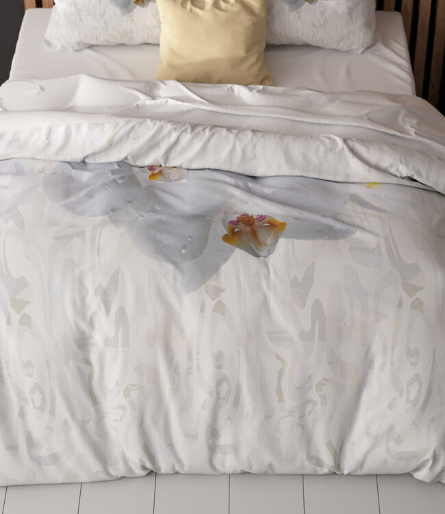 Orchid wit 240 x 200/220