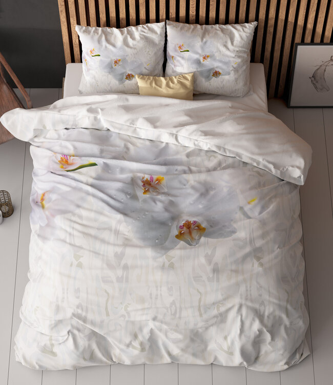 Orchid wit 240 x 200/220