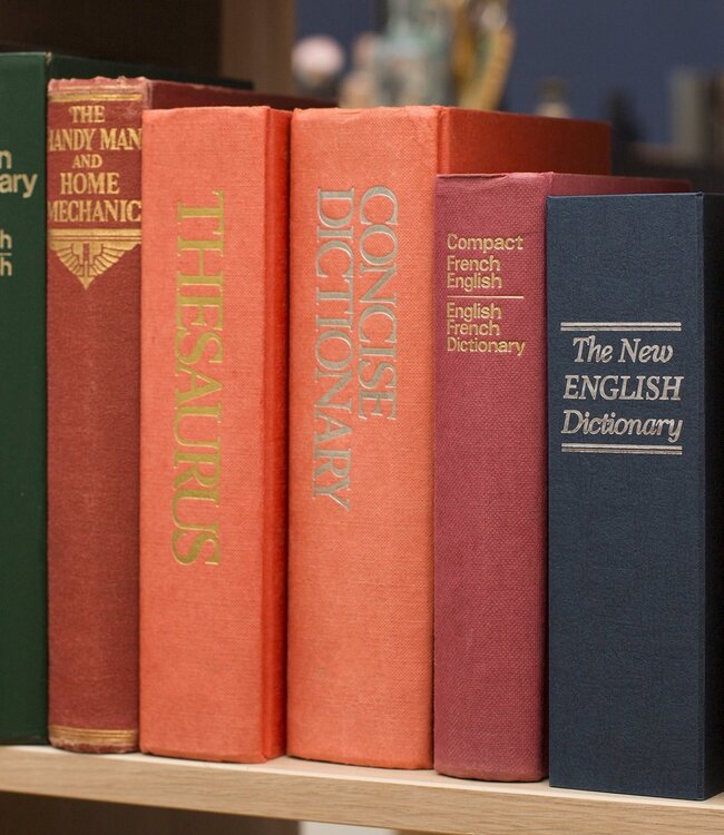 Mad Monkey - Boeken veilig