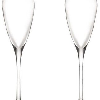 Bergner Masterpro Champagneglazen - Fluitglazen - 18.2cl - Kristalglas - 2 stuks