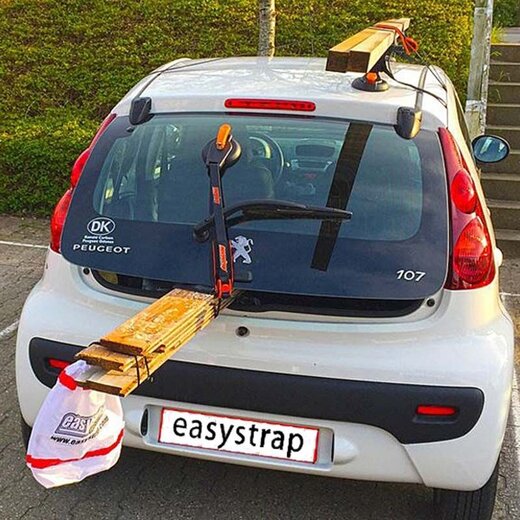 Easystrap Strap + hook