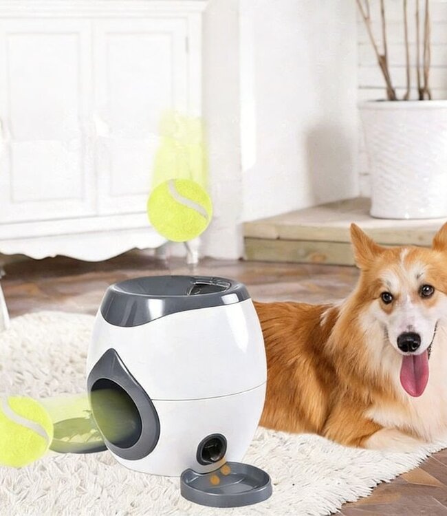 Snackdispenser voor Honden - Beloningsspel