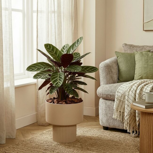 Mica Decorations Lux Indoor Plant Pot - Light Brown - H33 × Ø31.5 cm