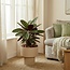 Mica Decorations Lux Blumentopf für drinnen - Hellbraun - H33 × Ø31,5 cm