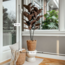 Mica Decorations Kunstplant Rubberplant Rood