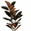 Mica Decorations Künstlicher Gummibaum - Rot - H90 × Ø70 cm