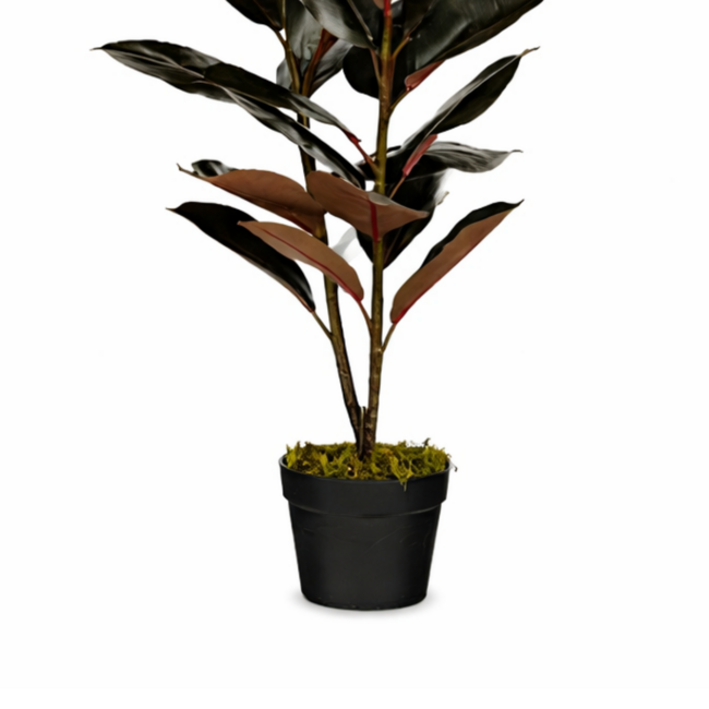 Mica Decorations Künstlicher Gummibaum - Rot - H90 × Ø70 cm