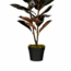 Mica Decorations Künstlicher Gummibaum - Rot - H90 × Ø70 cm