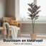 Mica Decorations Künstlicher Gummibaum - Rot - H90 × Ø70 cm