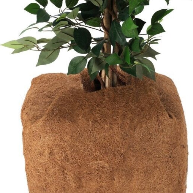 Plantbeschermende Kokosmat - 150x50cm