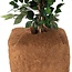 Plantbeschermende Kokosmat - 150x50cm