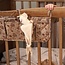 Nuuroo Li Cot Organiser - Sand - Flower Bee