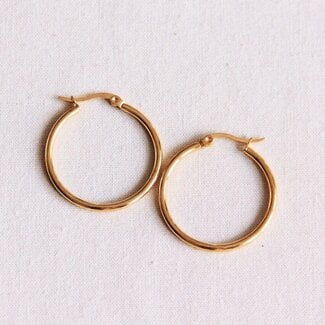 Koning Bamboe Stainless steel hoop earrings 30 mm "basic" - gold