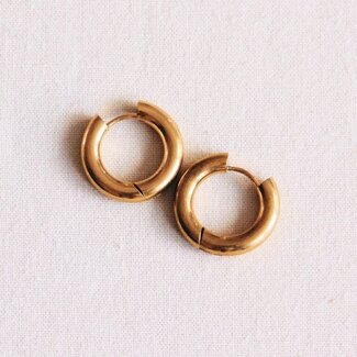 Koning Bamboe EA516 Breite Edelstahl-Creolen - 16 mm - Gold