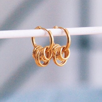 Koning Bamboe RVS oorbel met ringen - goud