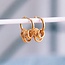 RVS oorbel met ringen - goud