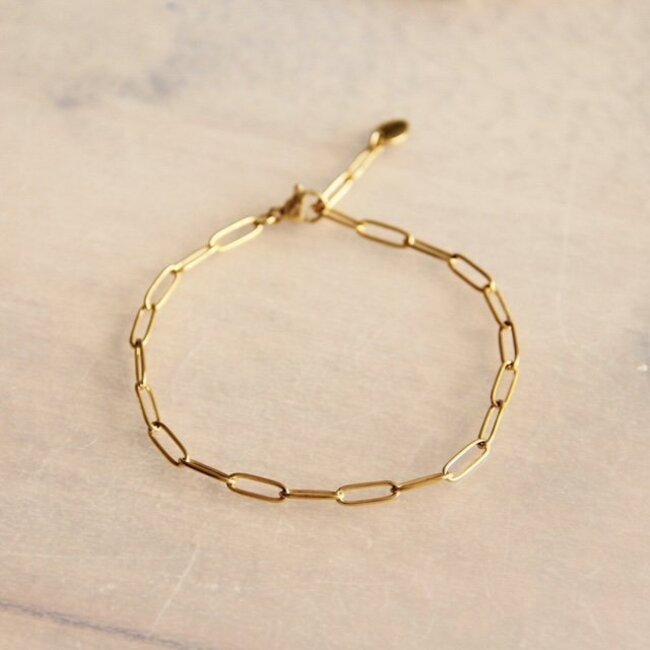 Koning Bamboe SA808 - Steel D-chain bracelet - gold