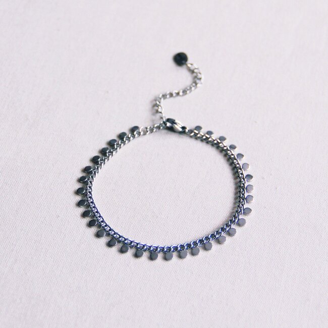 SA833: Stalen schakelarmband met muntjes - zilver