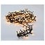 Micro-Cluster-LED-Lichterkette für außen - 1000 LEDs, 20 m, Extrawarmweiß, Timer, Lichtfunktionen und Speicher