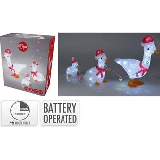 Christmas figure Acrylic - Ducks