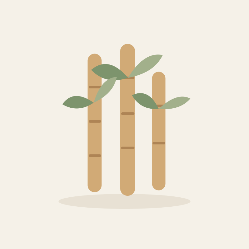 Bamboo World