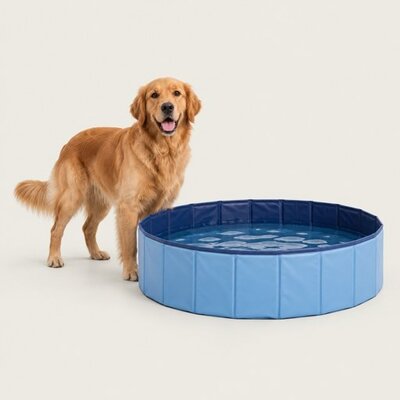 Honden