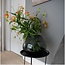 Vase The World Morava vase – grey – Ø32 × H25 cm