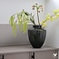 Vase The World Tugela vase – grey – Ø24.5 × H29 cm