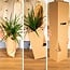 Outsider box plant set 12 plants 30 cm pot size 12 cm