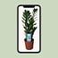 Zamioculcas Zamiifolia houseplant 55 cm pot size 14 cm