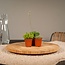 Succulent Mix plantenset 10 stuks 7 cm potmaat 5.5 cm