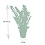 Zamioculcas Zamiifolia houseplant 80 cm pot size 21 cm