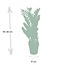 Zamioculcas Zamiifolia kamerplant 70 cm potmaat 17 cm
