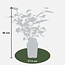 Morus nigra Mulle garden plant 45 cm pot size 13 cm
