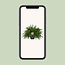 Nephrolepis Green Lady kamerplant 60 cm potmaat 20 cm
