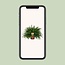 Nephrolepis Green Lady kamerplant 60 cm potmaat 19 cm
