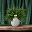 Nephrolepis Green Lady kamerplant 60 cm potmaat 19 cm